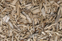 biomass boilers Pelynt