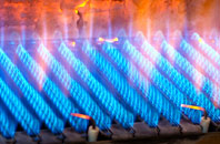 Pelynt gas fired boilers